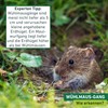 Windhager 05315 Vole Trap – 6.5 x 22 x 25