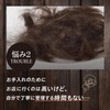 Adrence Fontaine AD&F Wig, Shampoo, Made in Japan, Wig Specialty