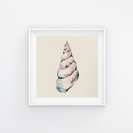 Nacnic Pack of Seashell Posters. Lively Square Wall Deco Pictures of Summer Motifs and Fruit for a colourful touch in your home, office, shops. SIZE 25x25 cm, FRAMELESS.