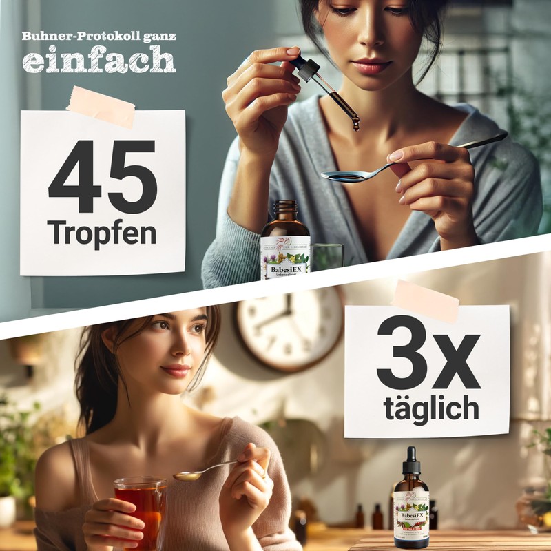 Phoenix der Lebenskraft BabesiEx Elixir of Life