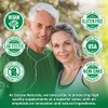 Zazzee USDA Organic Stinging Nettle Leaf 20:1 Extract, 120 Vegan