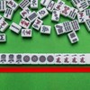 Henoyso Mahjong Tile Pushers 16.3 Inch Colored Acrylic Mahjong Pushers