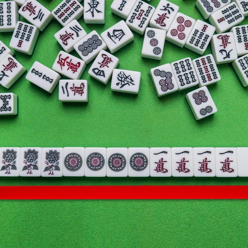 Henoyso Mahjong Tile Pushers 16.3 Inch Colored Acrylic Mahjong Pushers