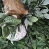 Vivid Arts PLP-127 Lookout Rabbit Plant Pal