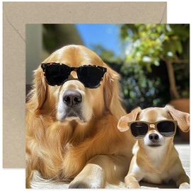 Funny Dog Birthday Card for Men Women - Male Female Birthday Cards - Cute Hilarious Dog Photo Greeting Card - Birthday, Congratulations, Thinking of You, Thank You, Just Because | Blank Inside