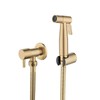 Toilet Hand Held Bidet Sprayer - Antique Brushed Gold Faucet