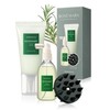 AROMATICA Rosemary Scalp Care Gift Set - Hydrating Scalp Treatment