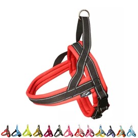 【Hakusan】 New First Dog Harness “Rabbit”,Reflective Stitch,Padded, YKK Buckles, 13 Colors, 9 Sizes,Japanese Brand,(Red×Black, 6)