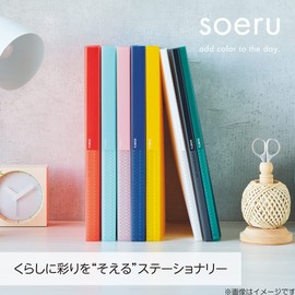 LIHIT LAB SOERU N8102-12 File Clear Book A4 Fixed 40 Pockets, Peach Pink