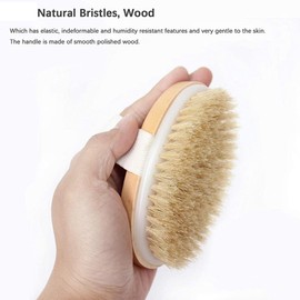 Dry Brushing Body Brush Set of 2, Dry Skin Exfoliating Brush, Handle Back Scrubber for Shower, Dry Brush for Cellulite