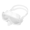 Diving Goggles Dual Use PC Silicone Antifog Waterproof Scuba Diving