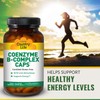 Country Life Coenzyme B Complex, 240-Count