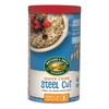 Nature's Path Organic Quick Cook Steel Cut Oatmeal, 24 oz