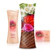 Caress Beauty Bar, Daily Silk 4 oz, 12 Bar, (Pack