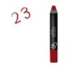 Golden Rose Matte Lip Column 23