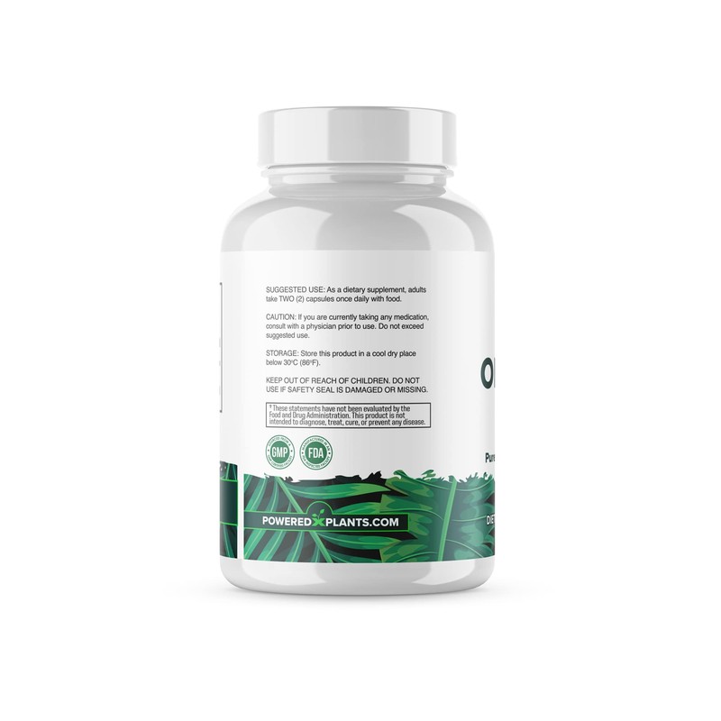 Onion Bulb Extract 1000mg Pure All Natural Onion (Allium Cepa)