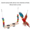 Bird Feeding Dish Cups with Parrot Perch Swing Natural Colorful