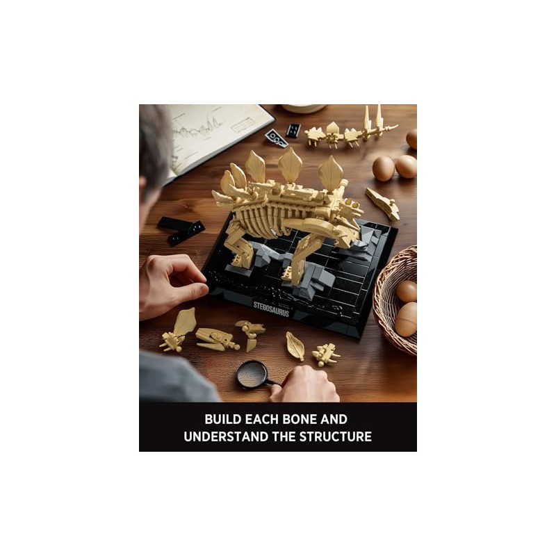 Nifeliz Stegosaurus Fossils Model Set, Dinosaur Skeleton Building Set with