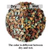YISZM Succulent Cactus Soil Potting Mix Horticultural Lava Rocks Bonsai