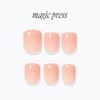 M-Desing Diva It Daily Short Nails 4 Types / M데싱디바