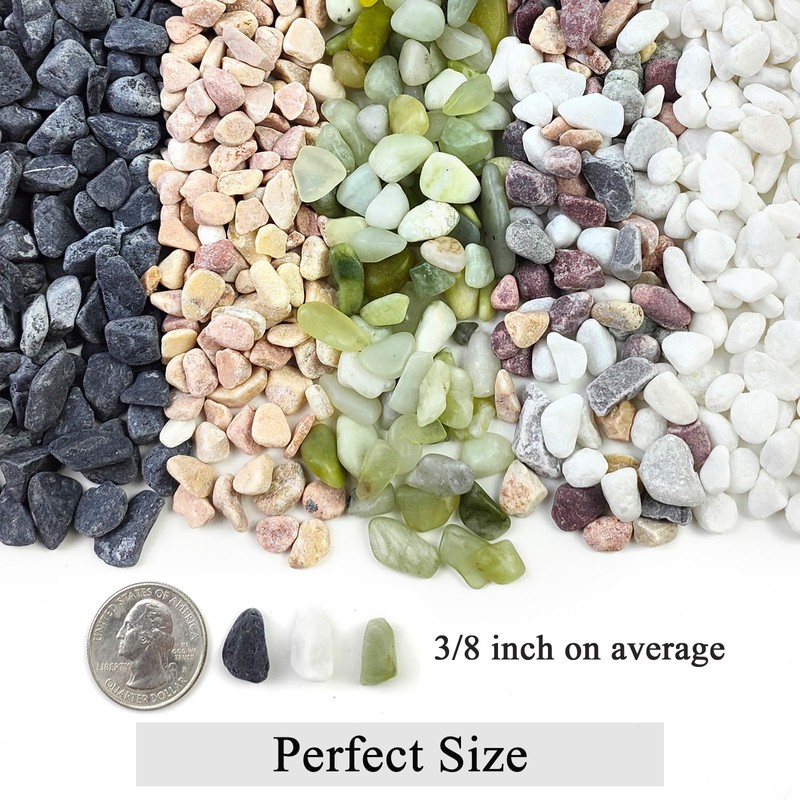 FANTIAN 10LB Natural Succulent Gravel Decorative White Rocks - 3/8''
