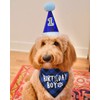 JPB Dog Birthday Boy Bandana