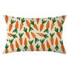 Ogiselestyle Easter Carrot Throw Pillow Cover, 12 x 20 Inch