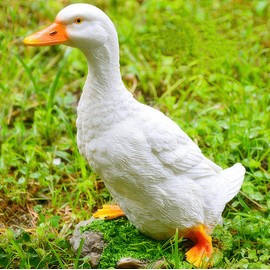 Euiroet Real Farm Duck Statues,Duck Fence Decoration,Funny Resin Duck Decor,Outdoor Real Animal Statue,Duck Sculpture,Perfect for Home Garden Stairs,Farm,Patio,Backyard