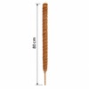 Moss Pole for Climbing Indoor Plants – Plant Fiber Support