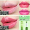 Set De 4 Labiales De Aloe Vera, Brillo Labial Mágico
