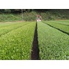 Ureshino Tea Premium Premium Set of 2 (3.5 oz (100