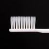[Bulk Purchase] System maha Brush, Regular, 4 Rows, Normal, 1