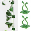 Yolyoo 100pcs Wall Plant Clips for Climbing Plants, Green