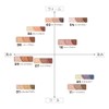 Cezanne Tone Up Eye Shadow 11 Taupe Brown 2.7g Tri-Color