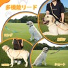 Pawhuggies Pahaggis Shoulder Leash for Dogs, Collar, Leash Set, For