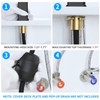 HANLIAN Single Hole Pull Out Faucet for Bathroom Sink, Black