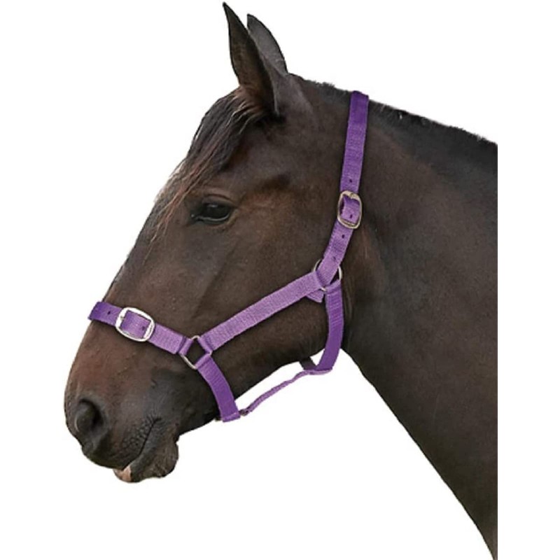 Gallop Basic Nylon Headcollar and Lead Rope Set, Full Size,