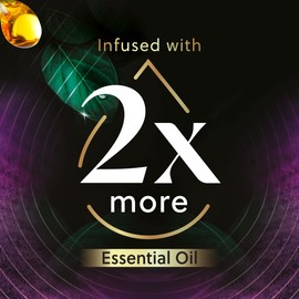 Air Wick Vibrant Plug in Scented Oil Refill, 5ct, Lavender & Waterlily, Air Freshener, Essential Oils