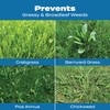Scotts Turf Builder Halts Crabgrass Preventer with Lawn Food -