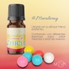 MEVA Esencias para Difusores y Humidificadores de Aromas 5ml Varios