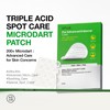 Anua Triple Acid Spot Care Microdart Patch (12EA) – AHA,