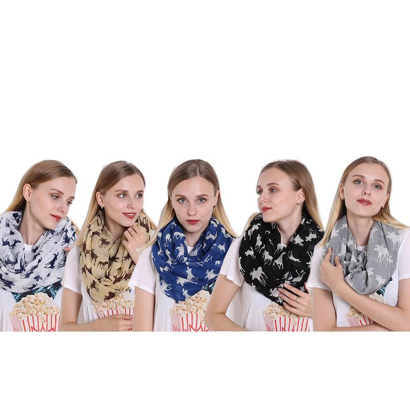 FAIRYGATE Women's Scarves & Wraps Womens Retro Soft Chiffon Loop