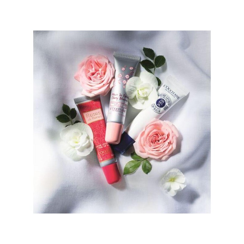 L'Occitane [록시땅](강남점)립 밤 컬렉션(택1) [시어 울트라 리치 립 밤 12ml]