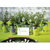 Weddingstar 8411 Miniature Metal Watering Cans