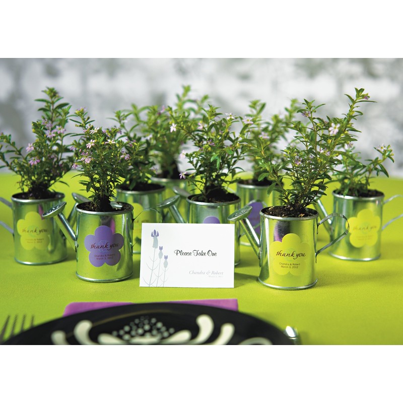 Weddingstar 8411 Miniature Metal Watering Cans