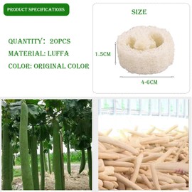 XineYuor Loofah Sponge, 20 Pieces Natural Loofah Sponge Soap Cushion, Soap Dish, Sponge Soap Tray, 100% Loofah Sponge, Soap Dish Loofah Soap for Shower, Bathroom, Kitchen, Worktop