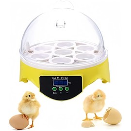 Semiautomatic Egg Incubators 7 Eggs Hatcher Digital Egg Incubator Automatic Temperature Control Egg Incubator Hatcher Machine