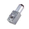 DC 12V High Worm Geared Motor Reduction Motor with Encoder
