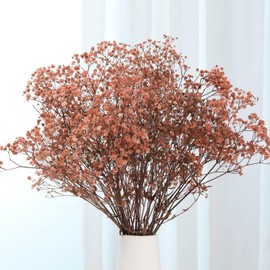 Babys Breath Dried Flowers Bouquet-17'' 2500+ Ivory Dry Flowers, Natural Gypsophila Branches for Wedding, Home Table Vase Decor, DIY Wreath Floral, Fall Thanksgiving Autumn Decoration (Brown, 3oz)