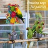 AFUOWER 6 PCS Bird Shredding Toys for Parakeet Chewing Toy,